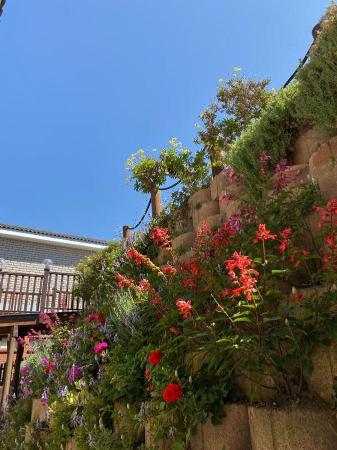 Wilderness Oceanview Villa Eksteriør billede